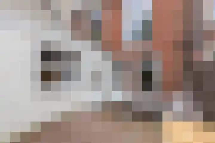 Turfsingel 39 Groningen thumbnail 19