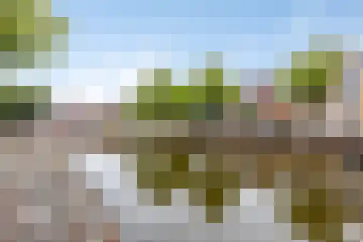 Turfsingel 39 Groningen thumbnail 23