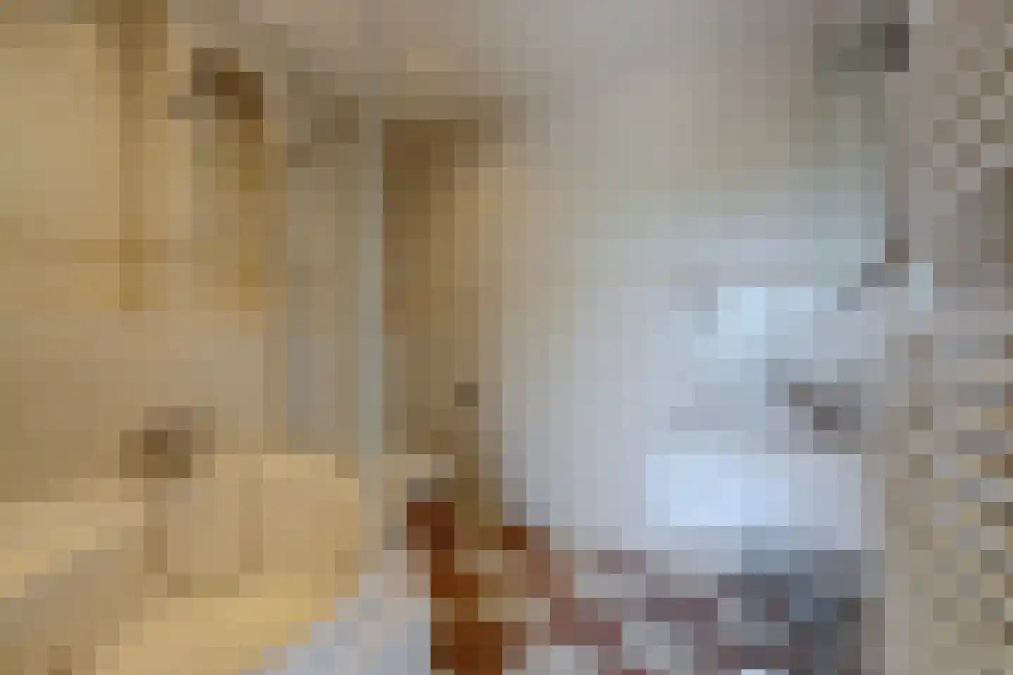 Turfsingel 51 Gouda thumbnail 20