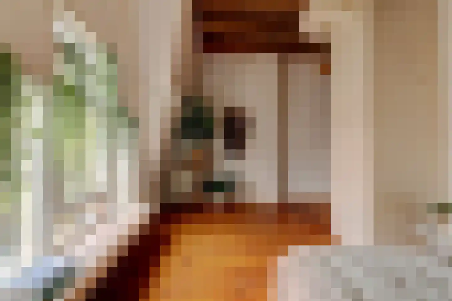 Turfsingel 51 Gouda thumbnail 32