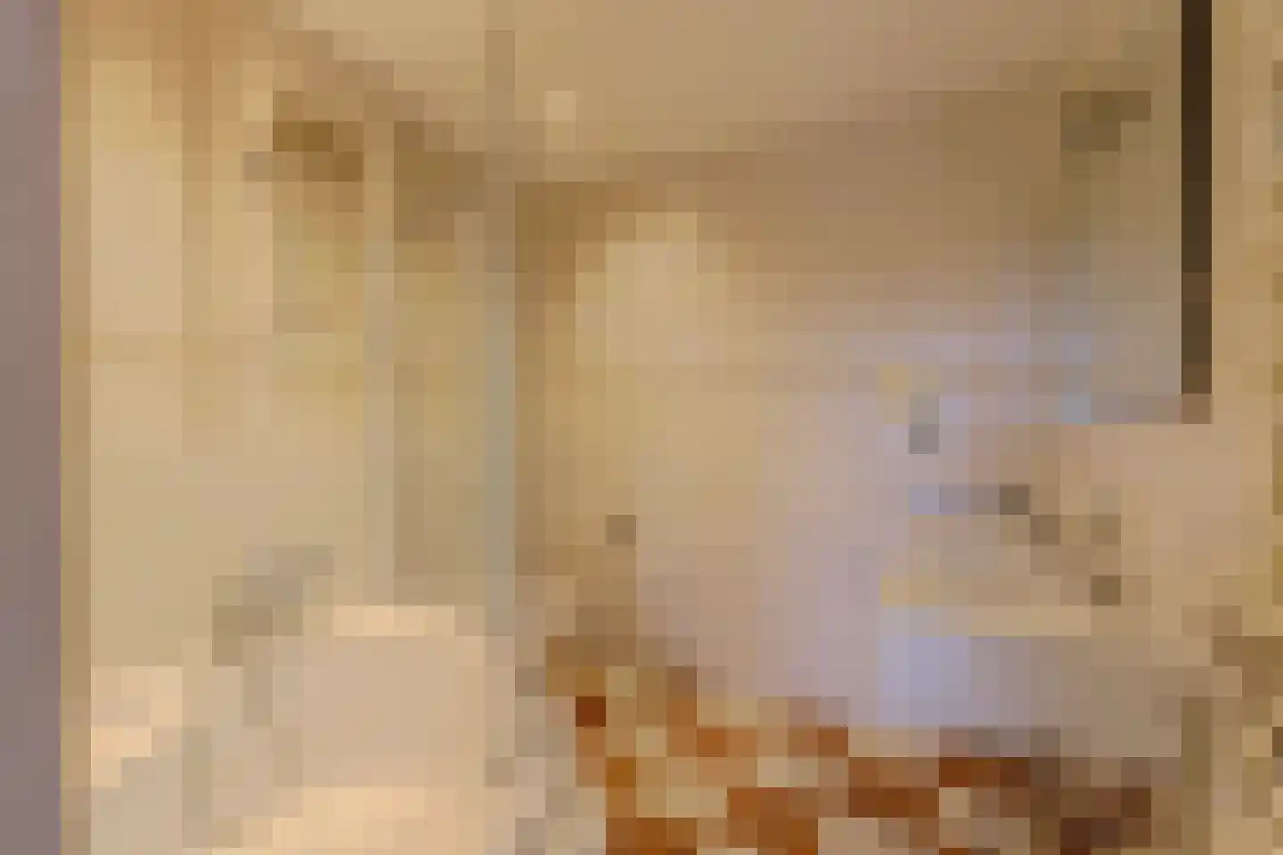 Turfsingel 51 Gouda thumbnail 34