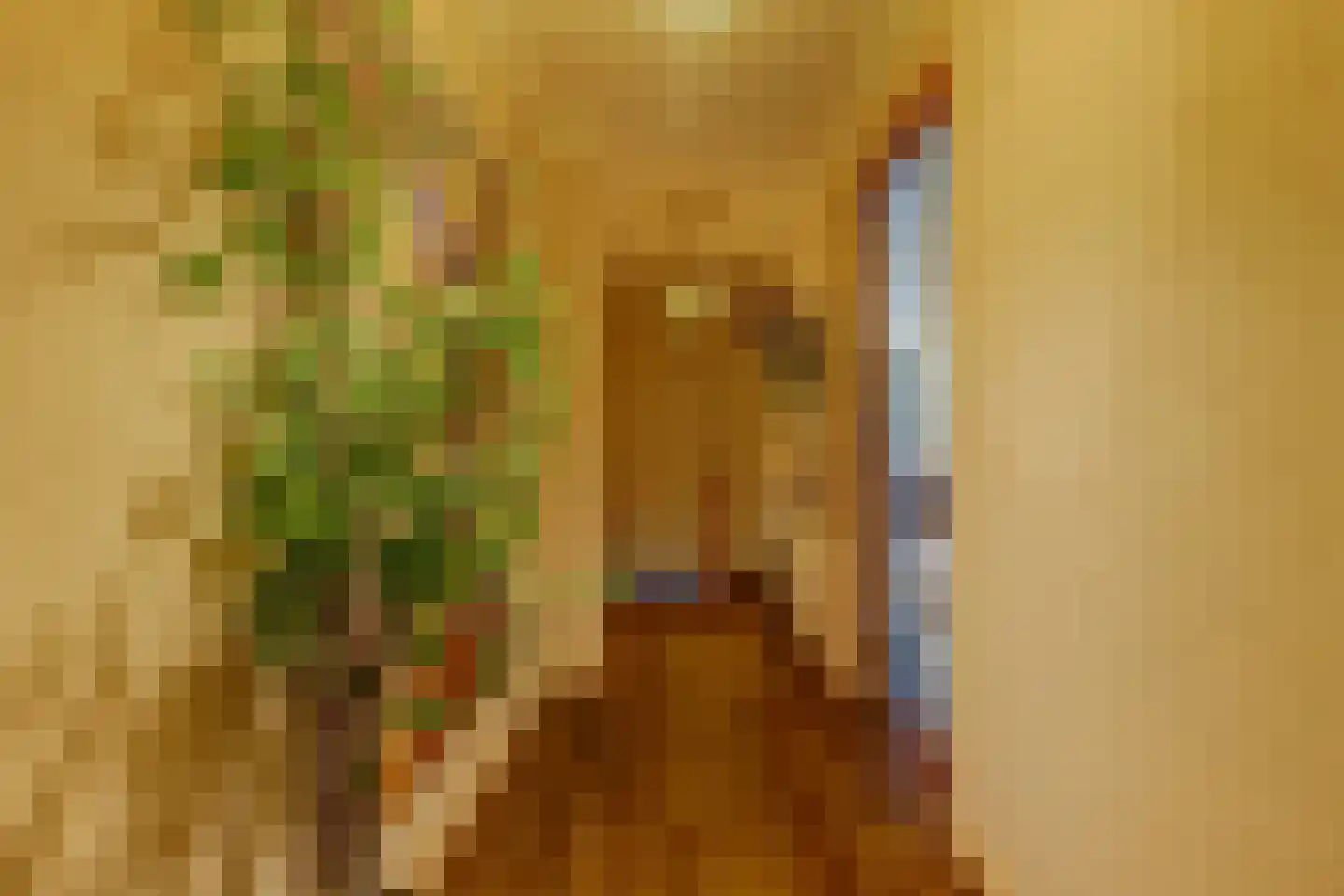 Turfsingel 51 Gouda thumbnail 9