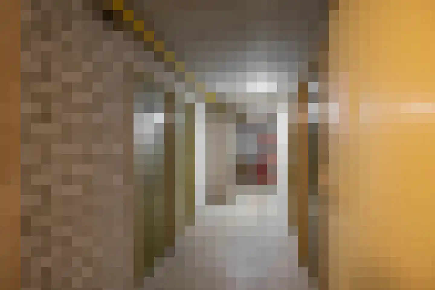 Turfsingel 52 a Groningen thumbnail 30