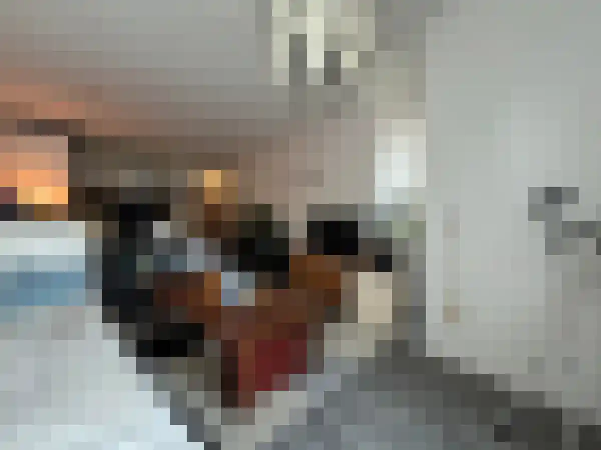 Turfsingel 54 Groningen thumbnail 5