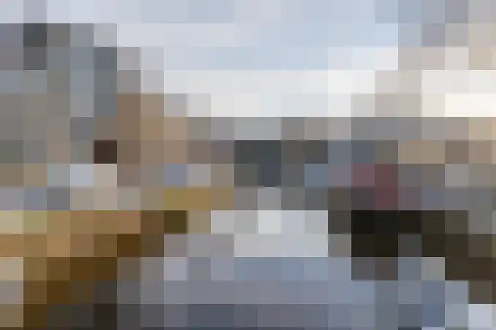 Turfsingel 56 c Groningen thumbnail 32