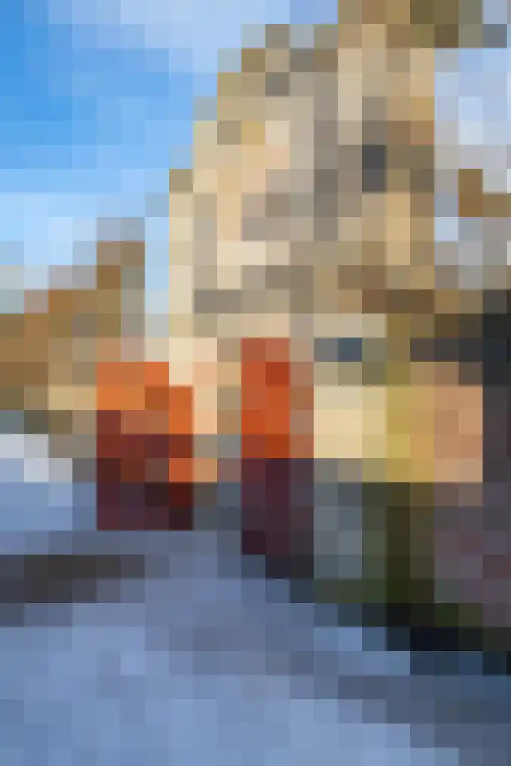 Turfsingel 56 c Groningen thumbnail 34