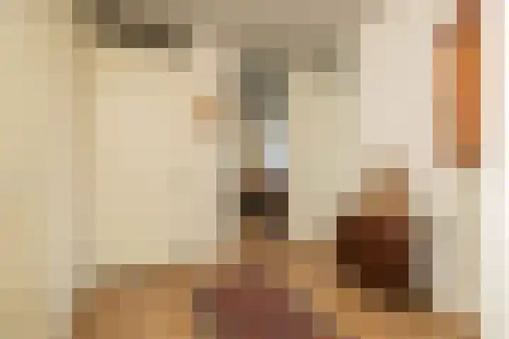Turfsingel 61 h Gouda thumbnail 13