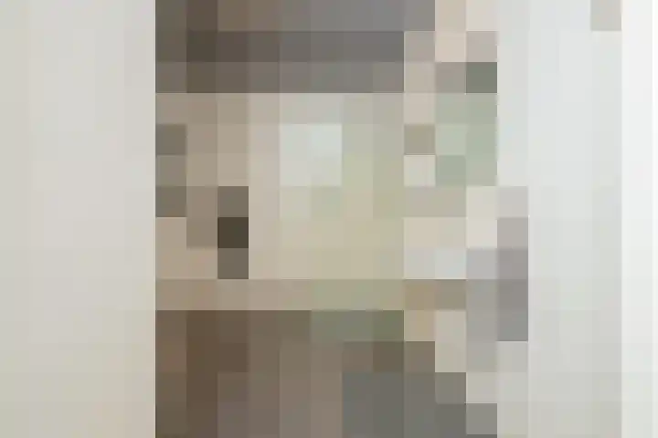Turfsingel 61 h Gouda thumbnail 18