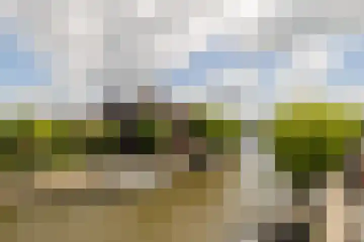 Turfsingel 61 h Gouda thumbnail 22