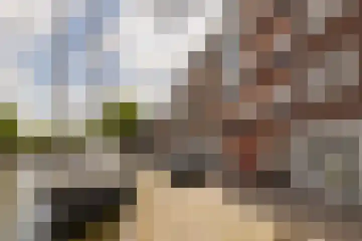 Turfsingel 61 h Gouda thumbnail 23