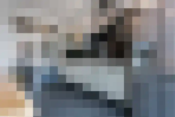 Turfsingel 7 a Groningen thumbnail 17