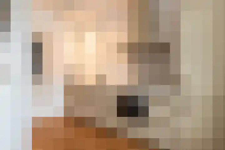 Turfsingel 76 Gouda thumbnail 11