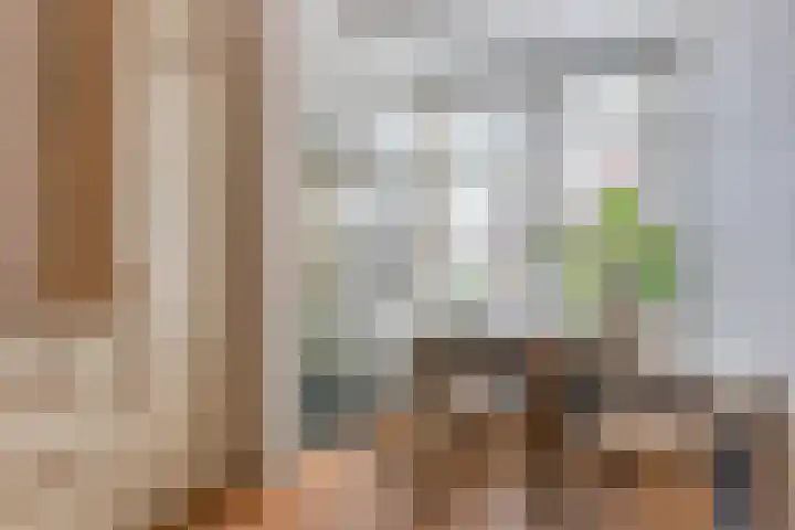 Turfsingel 76 Gouda thumbnail 13