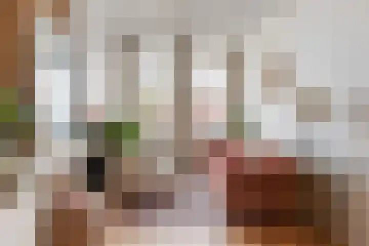Turfsingel 76 Gouda thumbnail 17