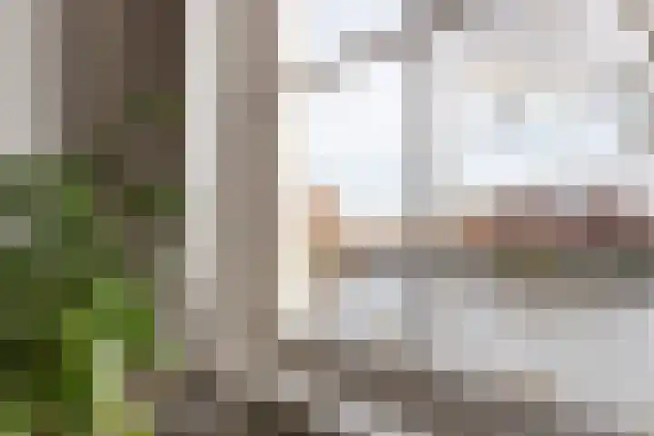 Turfsingel 76 Gouda thumbnail 19