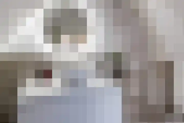 Turfsingel 76 Gouda thumbnail 23