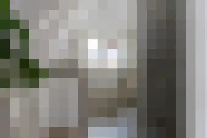 Turfsingel 76 Gouda thumbnail 26