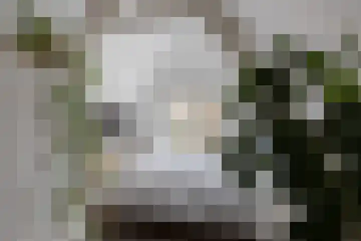 Turfsingel 76 Gouda thumbnail 27
