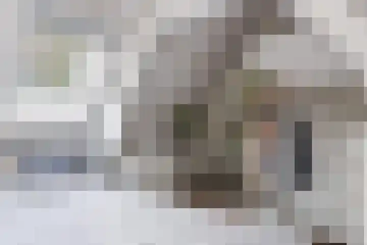 Turfsingel 76 Gouda thumbnail 29