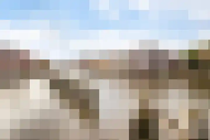 Turfsingel 76 Gouda thumbnail 32