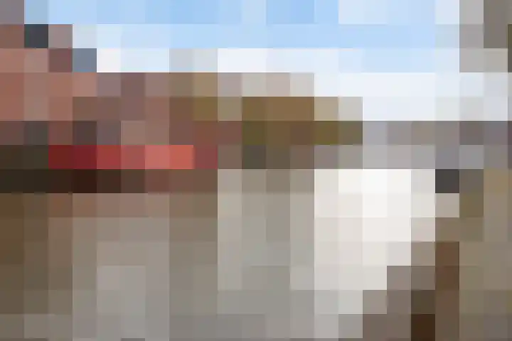 Turfsingel 76 Gouda thumbnail 33