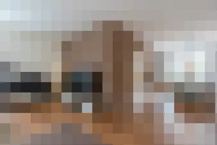 Turfslag 11 Nieuwleusen thumbnail 10