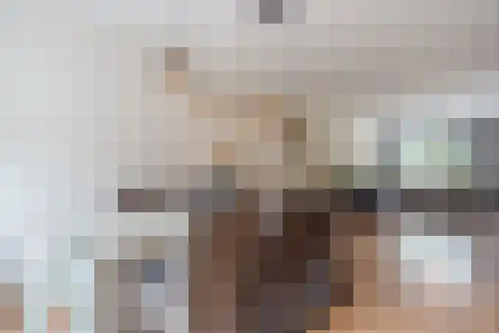 Turfslag 11 Nieuwleusen thumbnail 12