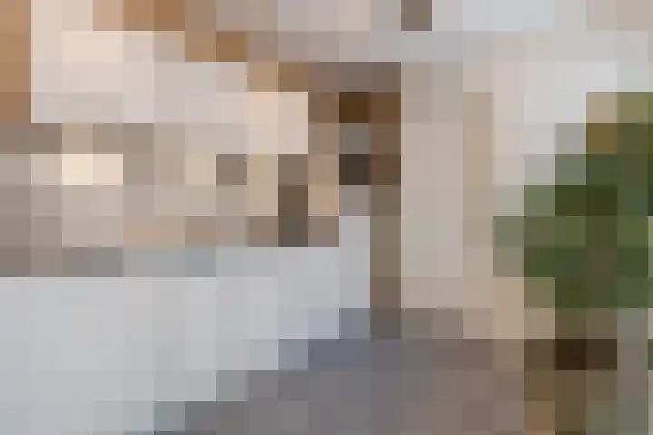Turfslag 11 Nieuwleusen thumbnail 14
