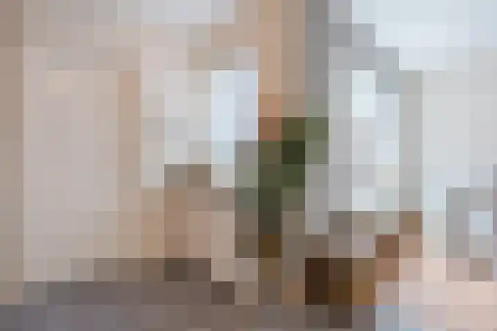 Turfslag 11 Nieuwleusen thumbnail 16