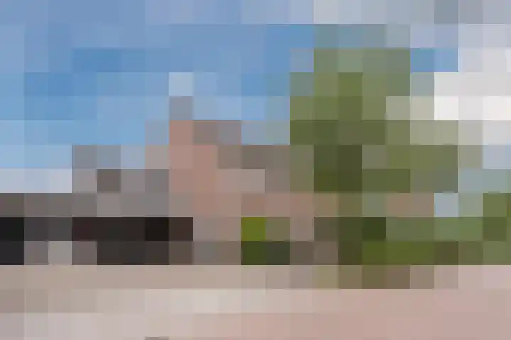 Turfslag 11 Nieuwleusen foto 2