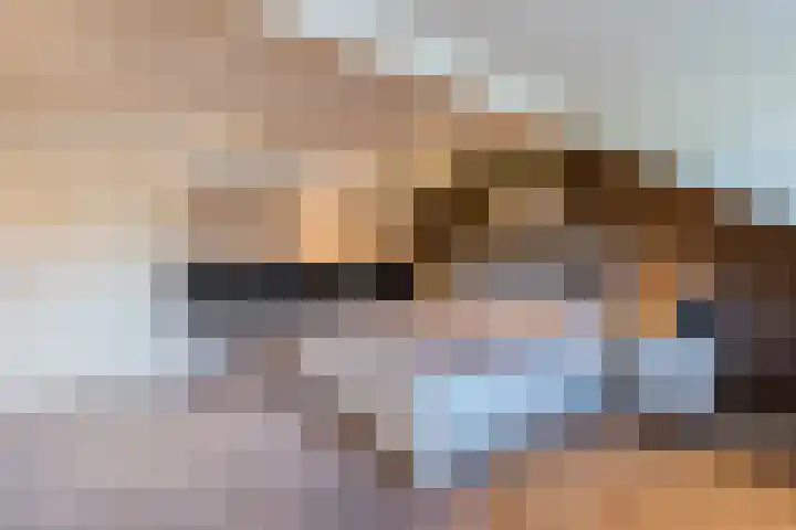 Turfslag 11 Nieuwleusen thumbnail 24