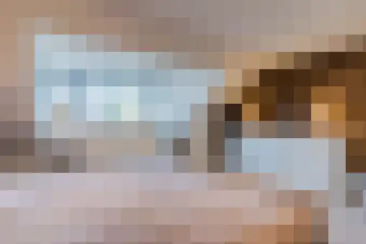 Turfslag 11 Nieuwleusen thumbnail 25