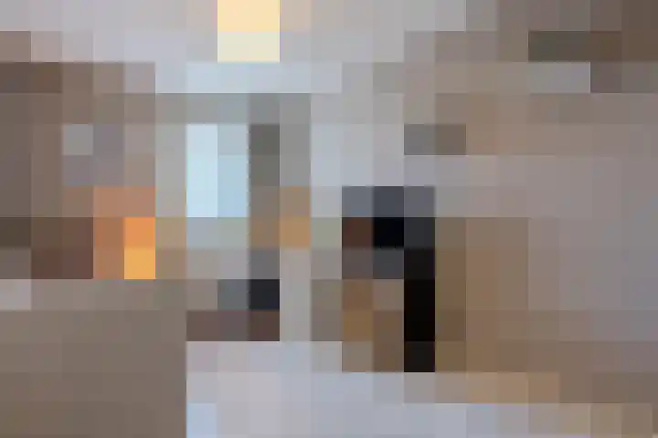 Turfslag 11 Nieuwleusen thumbnail 28