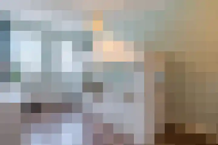 Turfslag 11 Nieuwleusen thumbnail 30