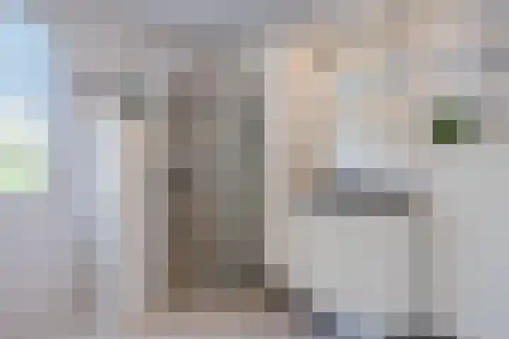 Turfslag 11 Nieuwleusen thumbnail 32