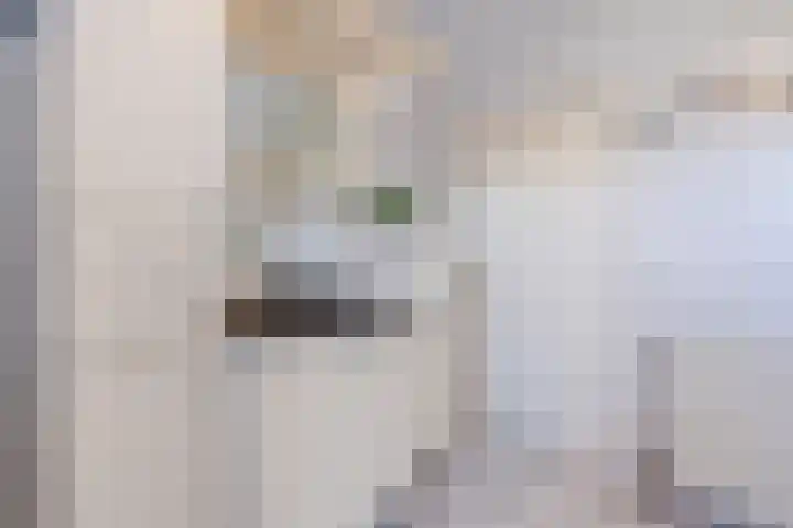 Turfslag 11 Nieuwleusen thumbnail 33