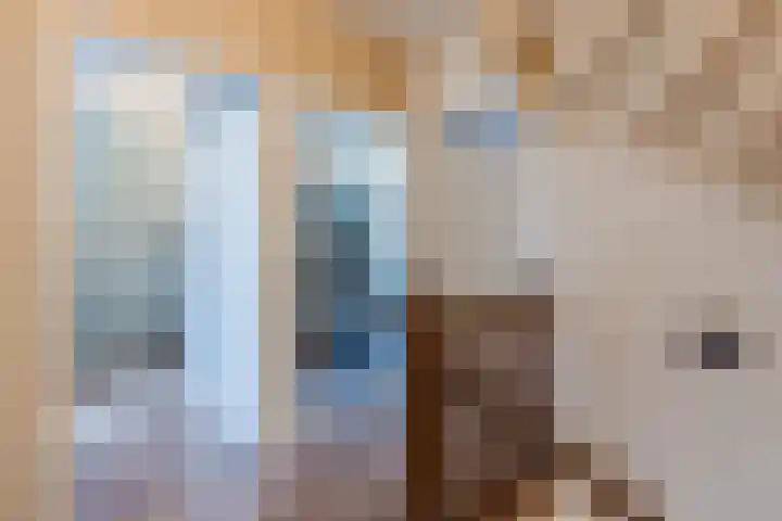 Turfslag 11 Nieuwleusen thumbnail 34
