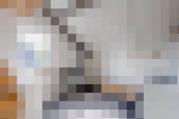 Turfslag 11 Nieuwleusen thumbnail 37