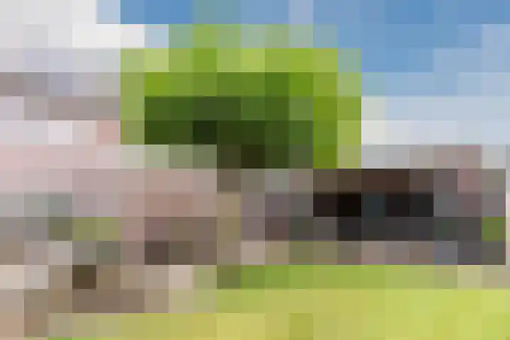 Turfslag 11 Nieuwleusen thumbnail 45