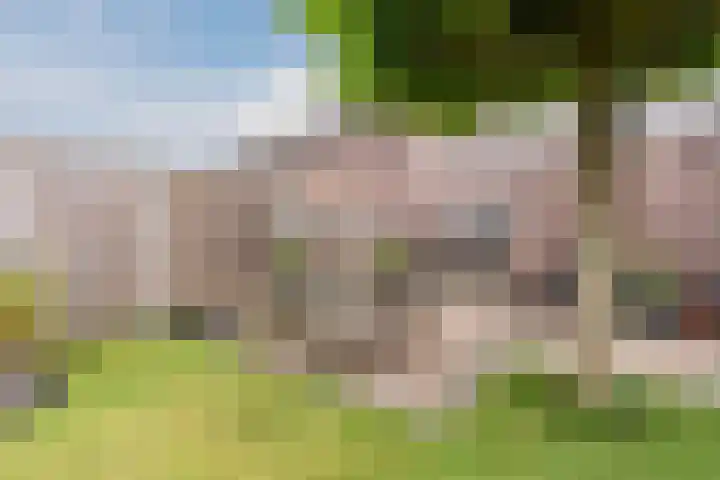 Turfslag 11 Nieuwleusen thumbnail 46