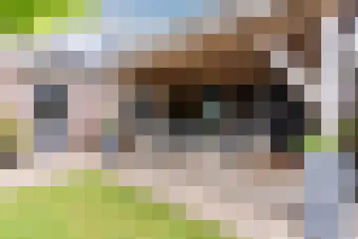 Turfslag 11 Nieuwleusen thumbnail 47