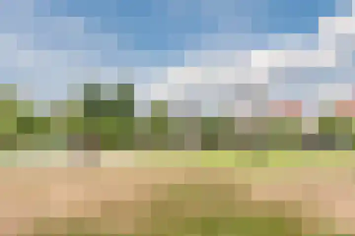 Turfslag 11 Nieuwleusen thumbnail 51