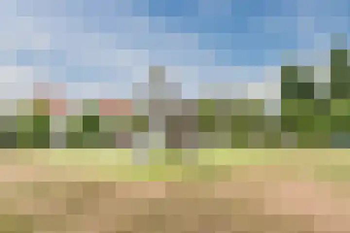 Turfslag 11 Nieuwleusen thumbnail 52