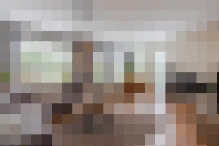 Turfslag 11 Nieuwleusen thumbnail 8