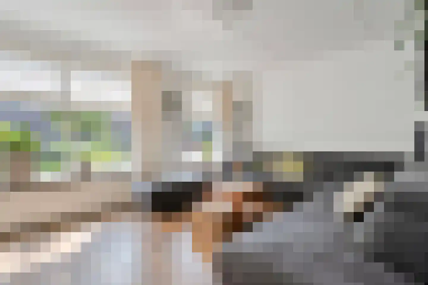 Turfslag 27 Nieuwleusen thumbnail 19