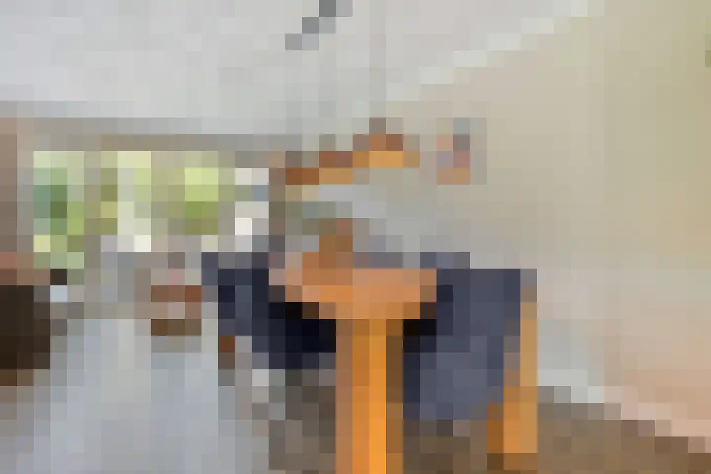 Turfslag 27 Nieuwleusen thumbnail 22