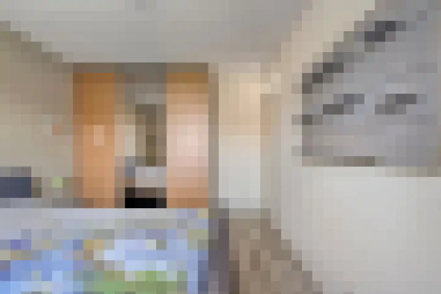 Turfslag 27 Nieuwleusen thumbnail 33