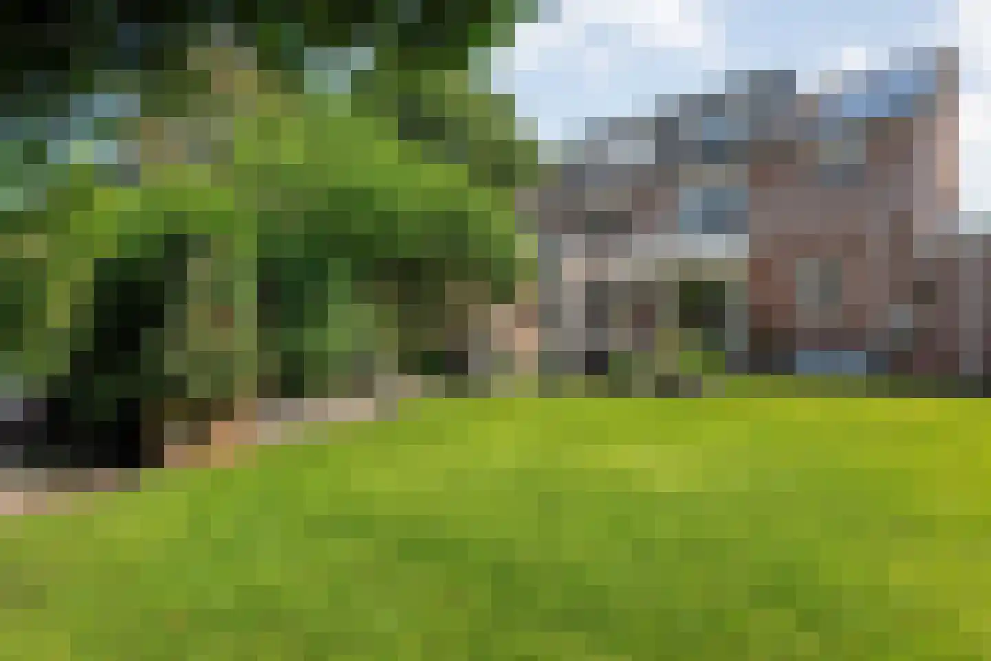 Turfslag 27 Nieuwleusen thumbnail 48
