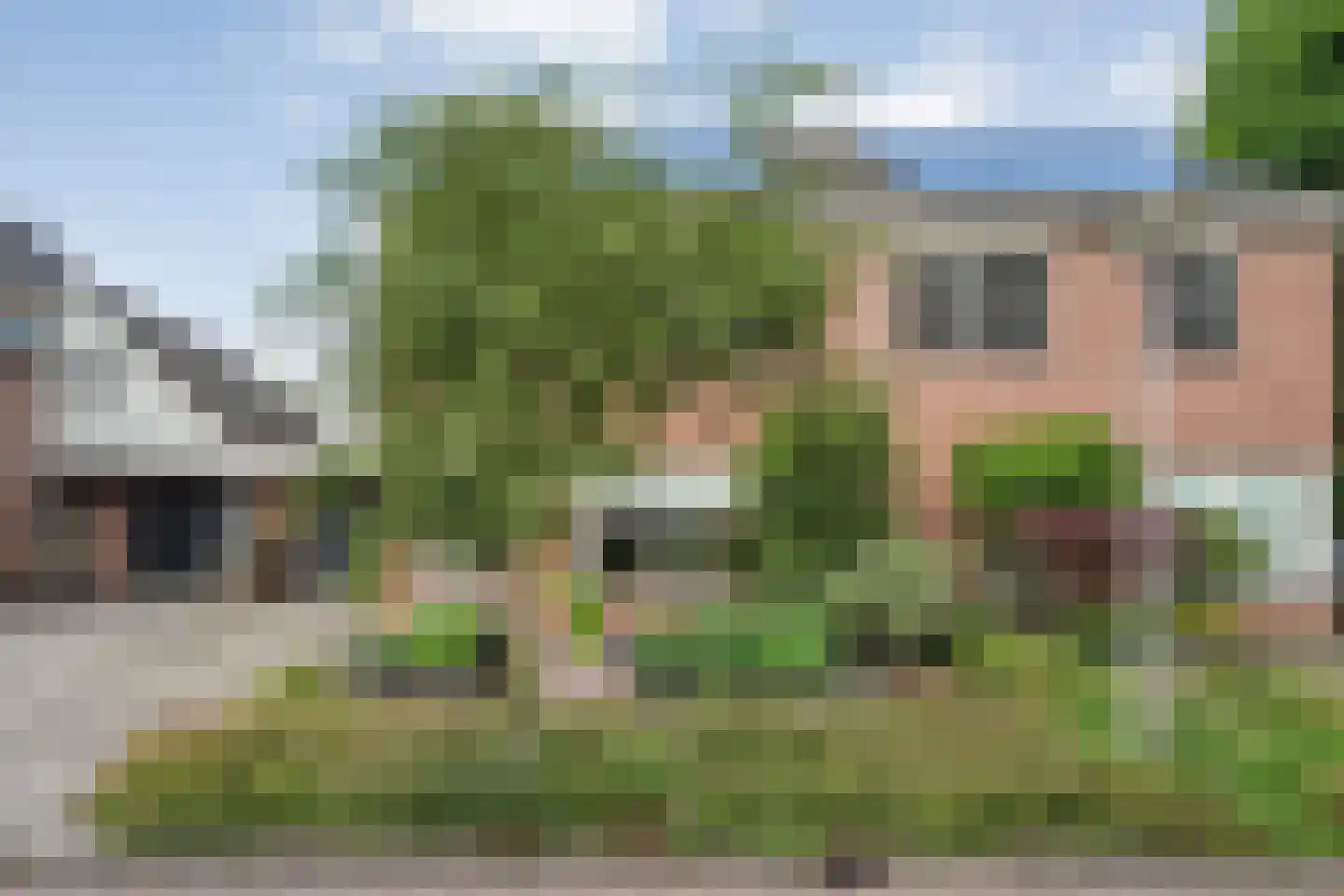 Turfslag 27 Nieuwleusen thumbnail 5