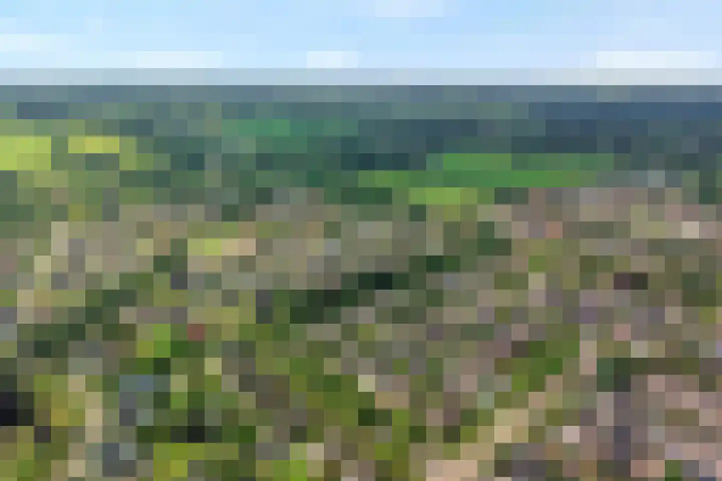 Turfslag 27 Nieuwleusen thumbnail 8